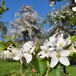 Vendégház Ferien- Und Obsthof Dillmann 3*